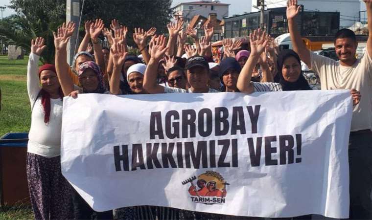 Agrobay işçisi kadınlar seslendi Nerede kadın kolları