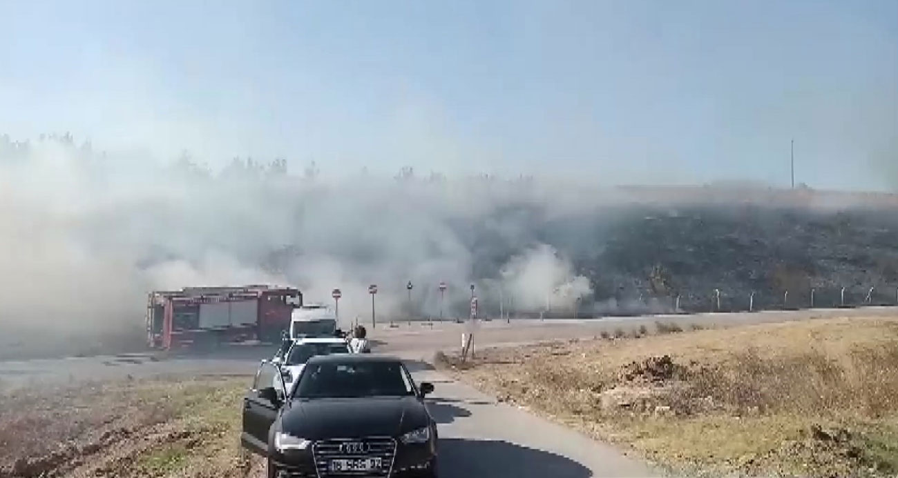 Gençlerin tehlikeli oyunu ormanı yakacaktı