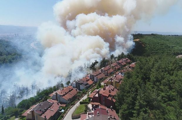 Bursada orman yangını