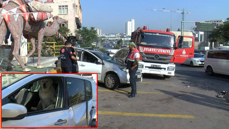 Pendikte bir kişinin yaralandığı kazada otomobildeki köpek korkudan araçtan çıkmadı