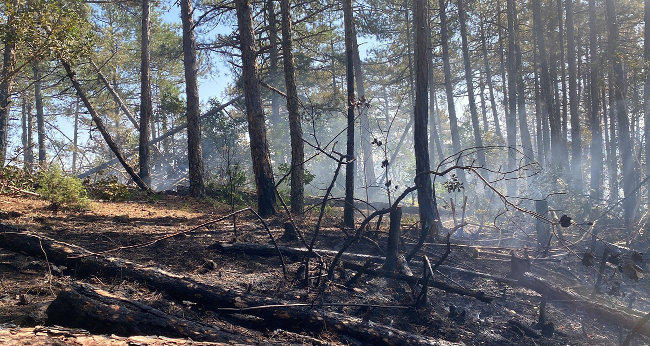 Kütahyadaki orman yangını için Bursada da seferberlik