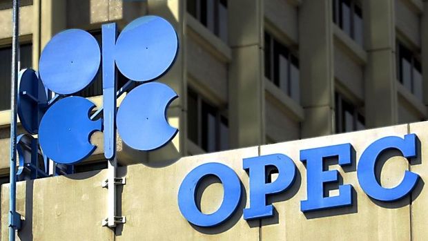 OPEC Eşsiz bir enerji kaosuna yol açar