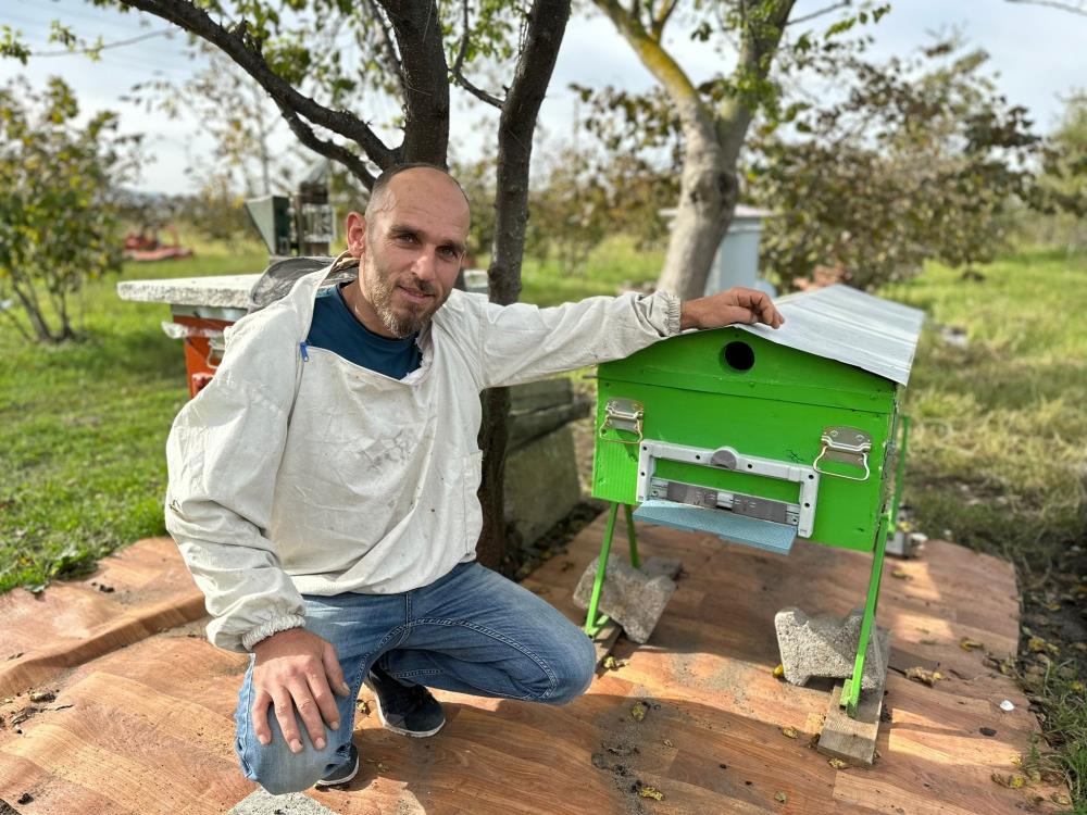 İlginç arı kovanları Tabut cansız manken varil