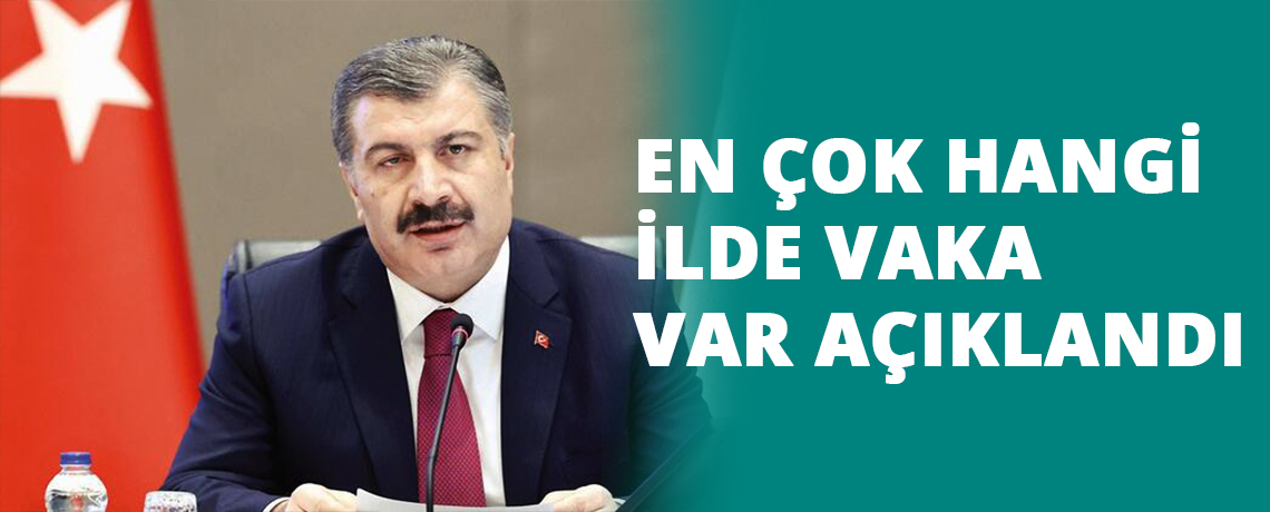 En Çok Hangi İlde Vaka Var Açıklandı